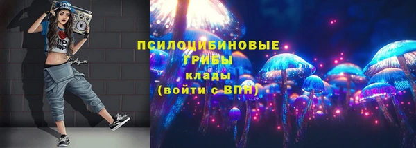 spice Дмитровск