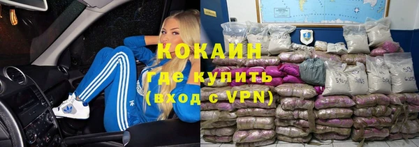 твердый Дмитриев