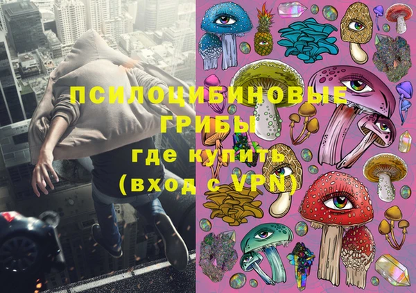 твердый Дмитриев