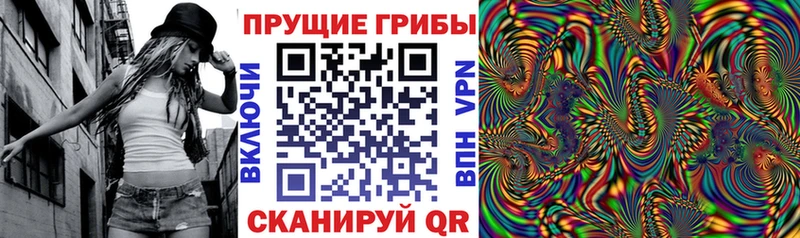 Псилоцибиновые грибы MAGIC MUSHROOMS  наркота  Тихорецк 